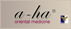 a-ha logo