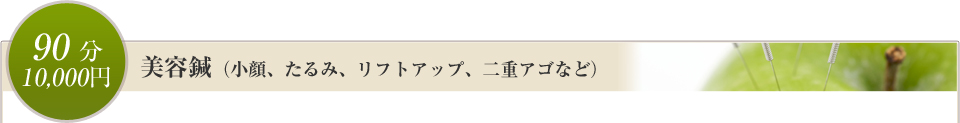 美容鍼（小顔、たるみ、リフトアップ、二重アゴなど）　90分／￥10,000