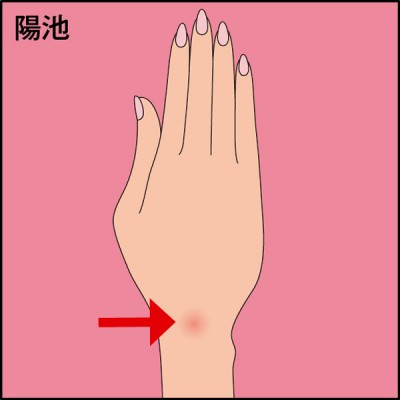 季節のツボの場所イラスト